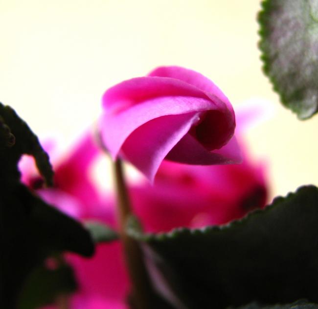 Name:  IMG_75992.jpg
Views: 1909
Size:  24.8 KB