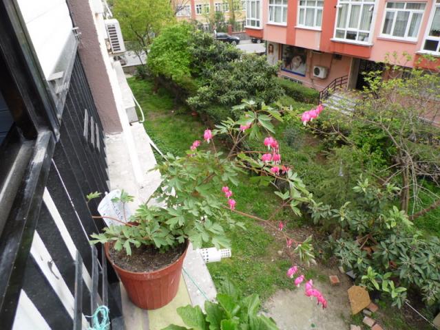 Name:  18-031.jpg
Views: 1472
Size:  69.7 KB