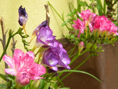 Name:  DSCN9425.JPG
Views: 826
Size:  64.9 KB