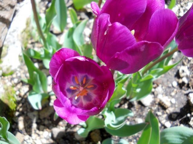 Name:  DSCN0119.jpg
Views: 634
Size:  47.8 KB