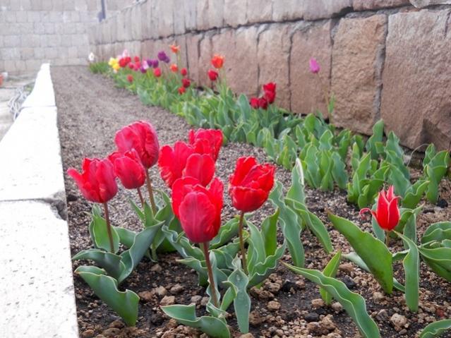 Name:  DSCN0173.jpg
Views: 642
Size:  62.9 KB