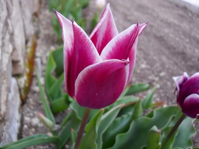 Name:  DSCN0159.jpg
Views: 620
Size:  34.7 KB
