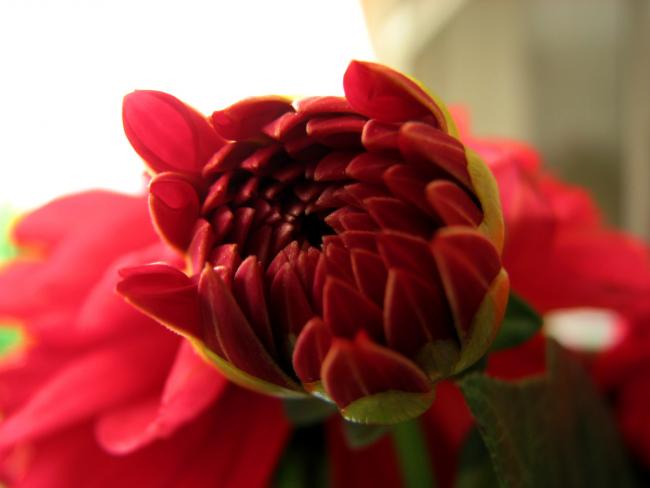 Name:  IMG_88012.jpg
Views: 1892
Size:  24.9 KB