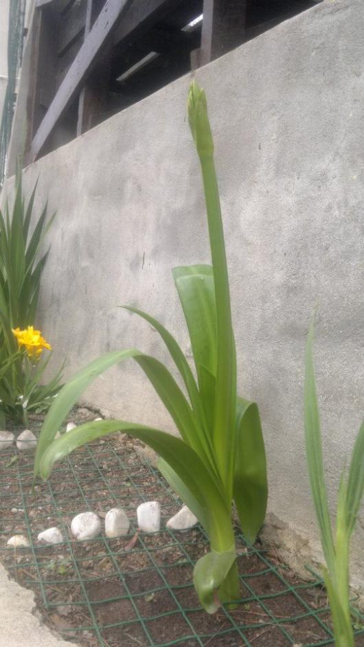 Name:  003.jpg
Views: 538
Size:  70.0 KB