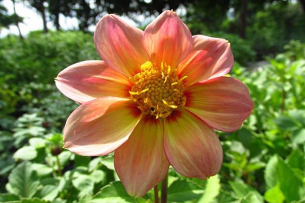 Name:  IMG_3146.jpg
Views: 1192
Size:  40.2 KB