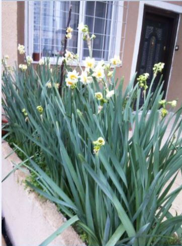 Name:  Ekran Alnts3.JPG
Views: 326
Size:  45.8 KB