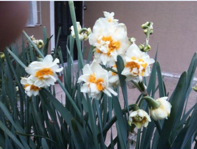 Name:  Ekran Alnts4.JPG
Views: 359
Size:  55.7 KB