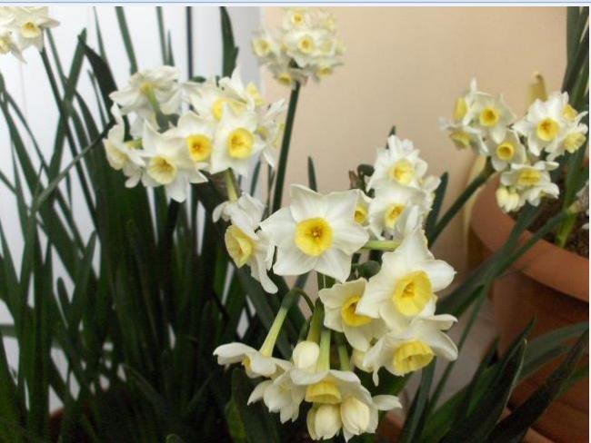 Name:  Ekran Alntsn.jpg
Views: 950
Size:  43.8 KB