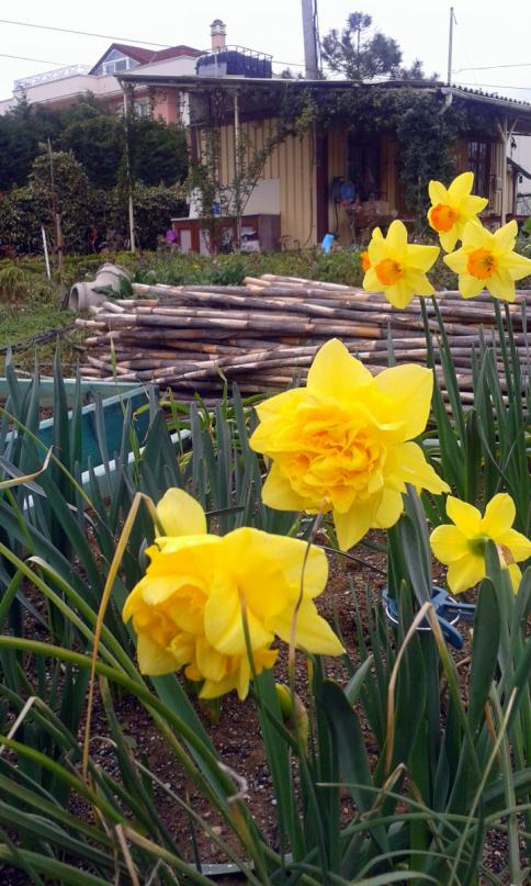 Name:  20150329_161108.jpg
Views: 876
Size:  79.2 KB