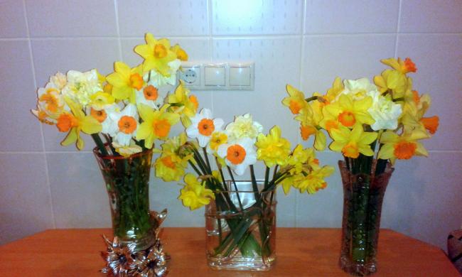 Name:  20150329_200851.jpg
Views: 881
Size:  36.8 KB