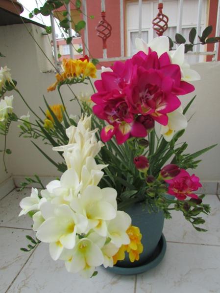 Name:  frezya3.jpg
Views: 1073
Size:  39.5 KB