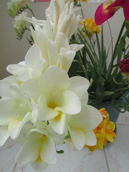 Name:  frezya5.jpg
Views: 997
Size:  67.1 KB