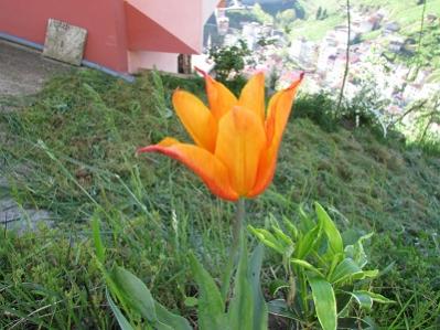Name:  IMG_0163.jpg
Views: 407
Size:  28.7 KB