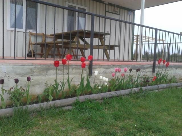 Name:  20150421_094932.jpg
Views: 525
Size:  51.7 KB