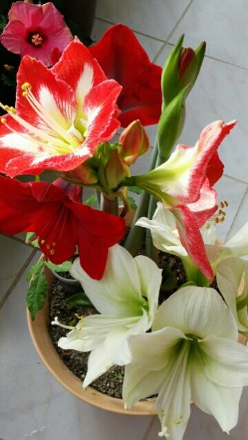 Name:  uploadfromtaptalk1431631661268.jpg
Views: 807
Size:  34.9 KB