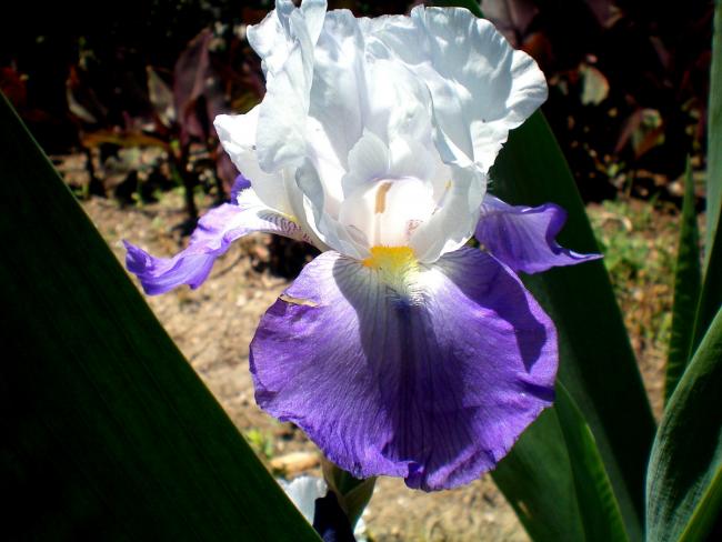 Name:  100_0067.jpg
Views: 470
Size:  44.0 KB