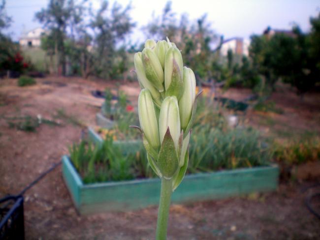 Name:  100_0136.jpg
Views: 803
Size:  33.8 KB