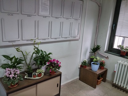 Name:  20151231_134641_HDR.jpg
Views: 584
Size:  54.8 KB