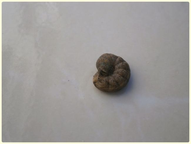 Name:  Frezya_Tyty.jpg
Views: 1170
Size:  17.0 KB