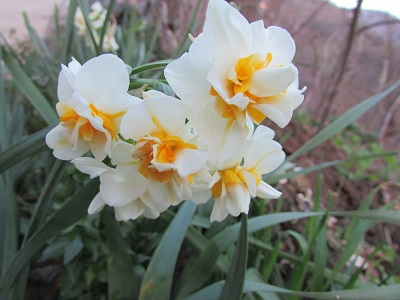 Name:  IMG_1643.jpg
Views: 575
Size:  59.4 KB