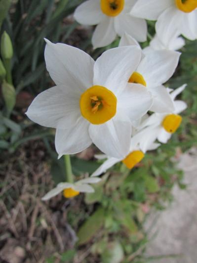 Name:  IMG_1645.jpg
Views: 613
Size:  24.0 KB