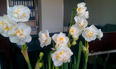Name:  IMAG1262.jpg
Views: 573
Size:  42.4 KB