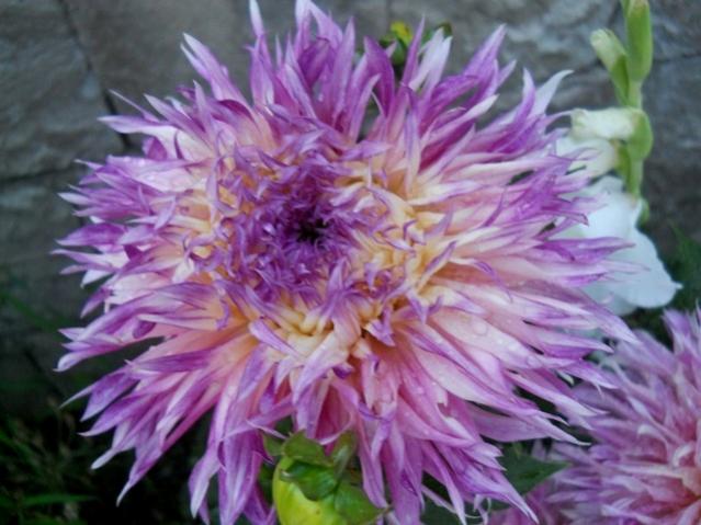 Name:  DSCN9022.jpg
Views: 651
Size:  48.2 KB