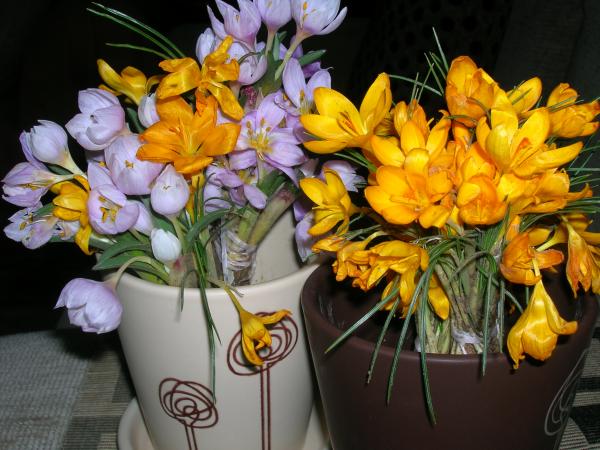 Name:  001.jpg
Views: 1114
Size:  52.1 KB