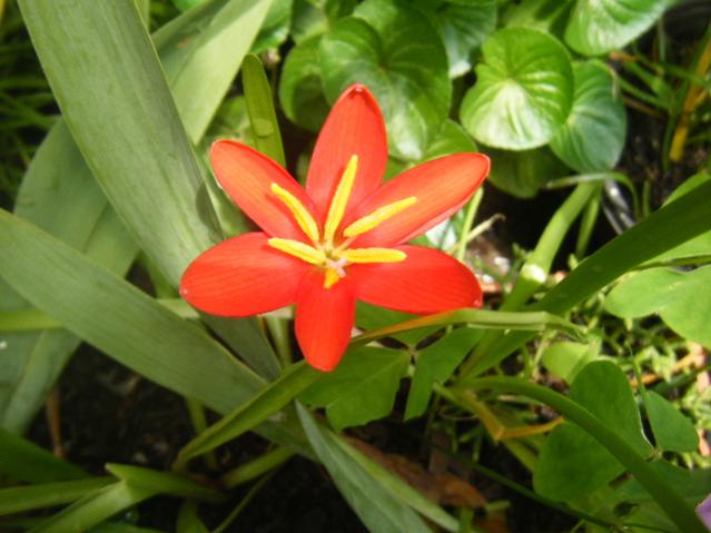 Name:  ggd.jpg
Views: 1010
Size:  40.8 KB