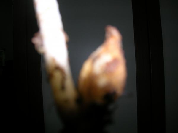 Name:  001.jpg
Views: 650
Size:  12.2 KB