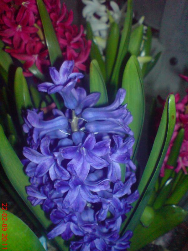 Name:  ouzhanr 023.jpg
Views: 5359
Size:  61.7 KB