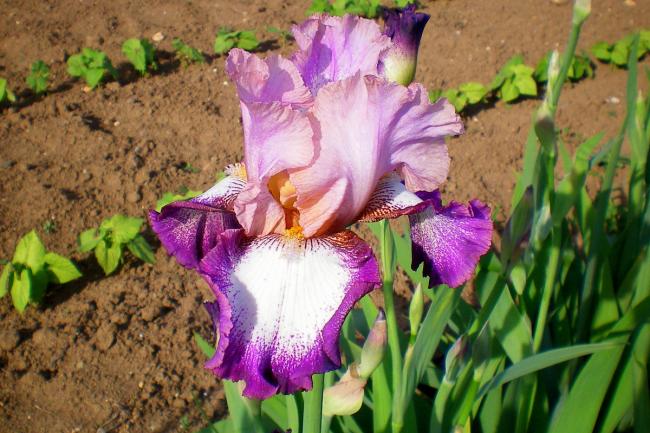 Name:  100_0093.jpg
Views: 523
Size:  59.6 KB