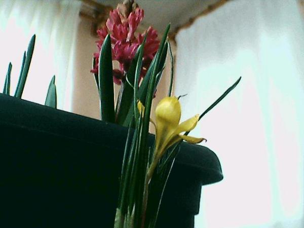 Name:  Resim 048.jpg
Views: 5027
Size:  25.9 KB