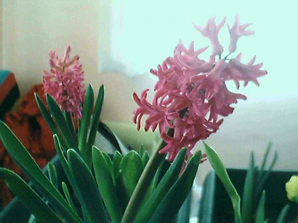 Name:  Resim 052.jpg
Views: 5029
Size:  35.1 KB
