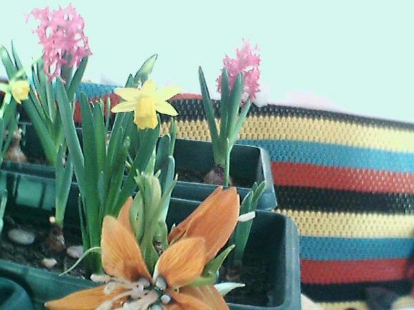 Name:  Resim 054.jpg
Views: 5033
Size:  41.4 KB