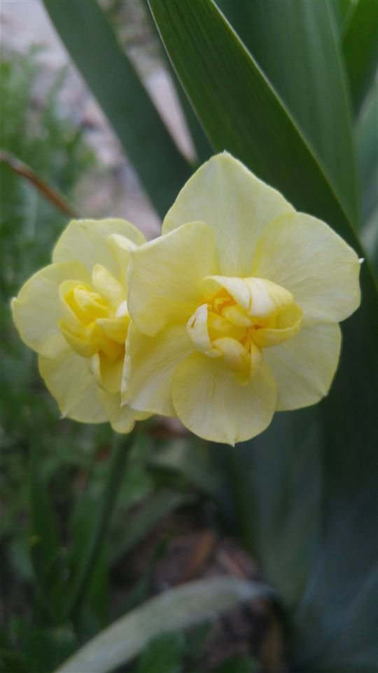 Name:  20170502_192222.jpg
Views: 588
Size:  43.4 KB