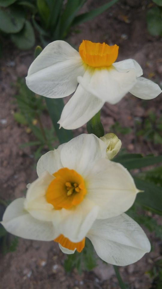 Name:  20170502_192058.jpg
Views: 534
Size:  49.6 KB