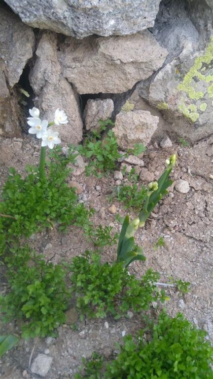 Name:  20170502_192359.jpg
Views: 665
Size:  72.4 KB