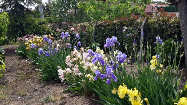 Name:  20170507_140353_Richtone(HDR).jpg
Views: 854
Size:  70.8 KB