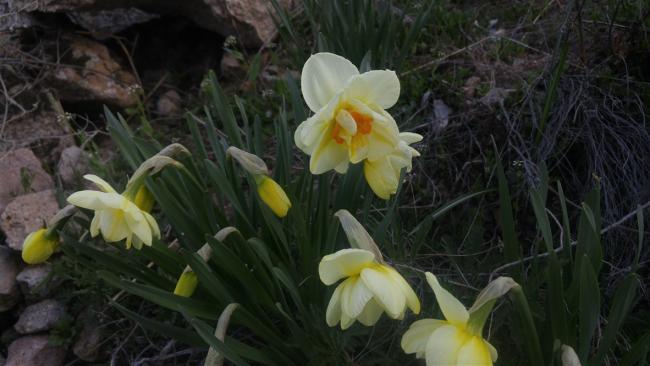 Name:  20170419_181001.jpg
Views: 537
Size:  36.6 KB
