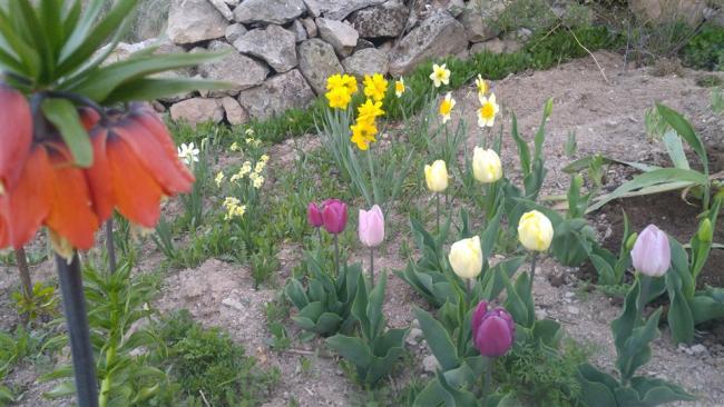 Name:  20170427_194552.jpg
Views: 522
Size:  51.7 KB