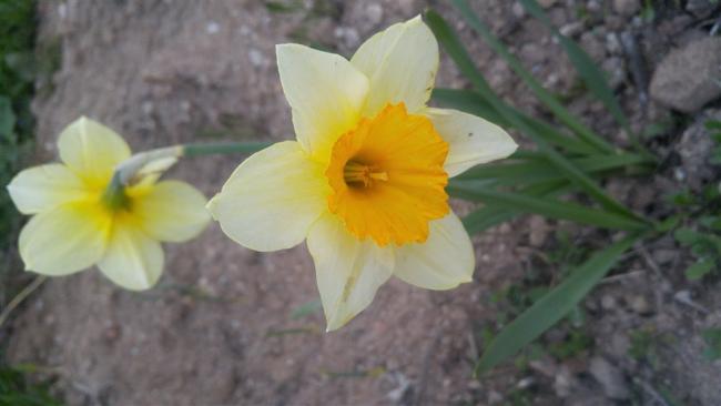 Name:  20170427_194457.jpg
Views: 539
Size:  25.5 KB