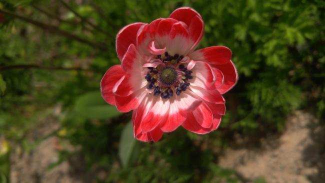 Name:  20170507_150327.jpg
Views: 544
Size:  27.5 KB
