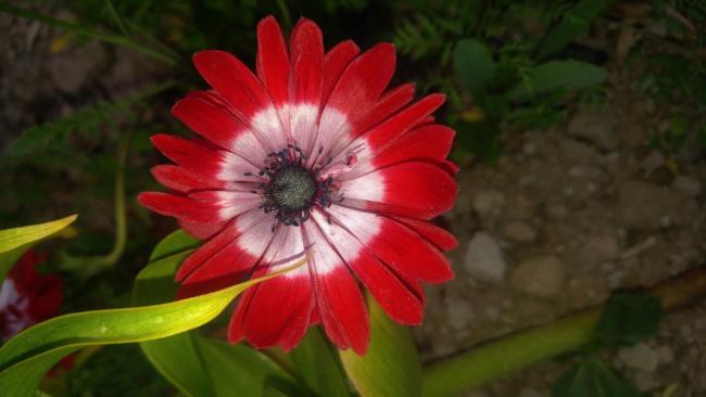 Name:  20170512_193941.jpg
Views: 548
Size:  27.5 KB