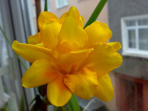 Name:  php8HPqXIAM.jpg
Views: 1547
Size:  42.7 KB