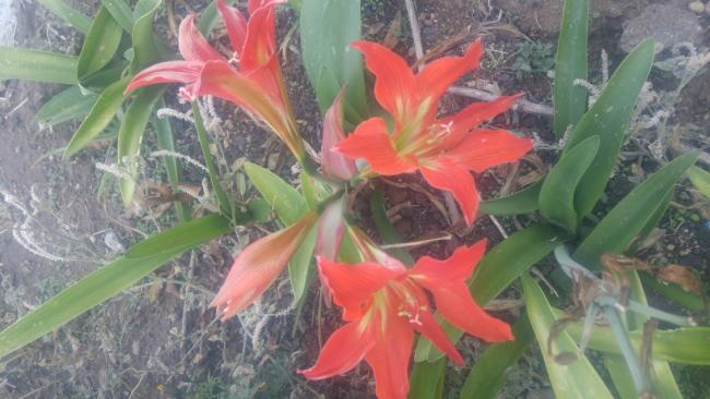 Name:  20171028_165755.jpg
Views: 1207
Size:  41.9 KB