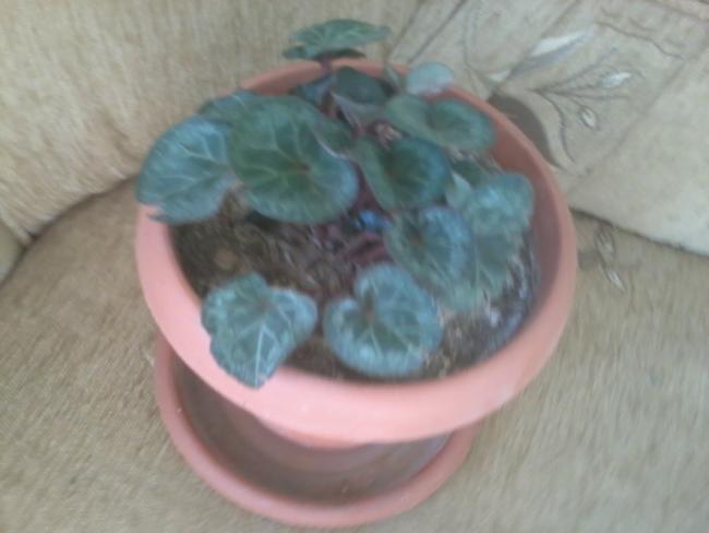 Name:  2018-01-03 13.29.23.jpg
Views: 1014
Size:  28.1 KB