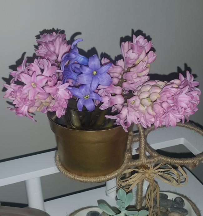 Name:  1202018171018.jpg
Views: 721
Size:  58.7 KB