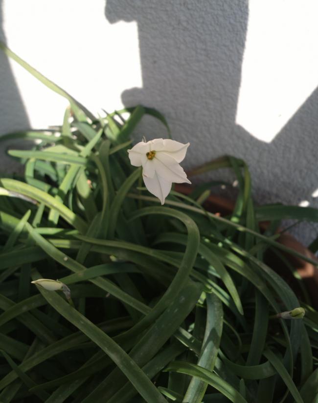 Name:  2012-10-16-1999.jpg
Views: 950
Size:  46.5 KB