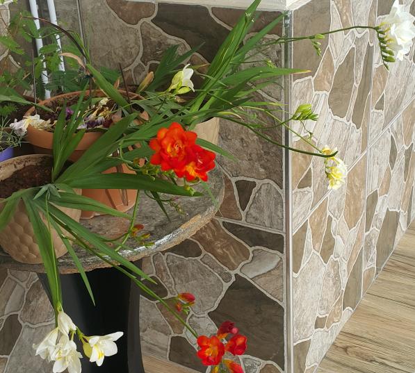 Name:  3272018145112.jpg
Views: 670
Size:  71.9 KB